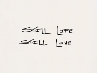 Still life - Still love | Solo exhibition | Reykjavík 2025